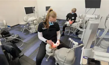 Dental Hygienists in School