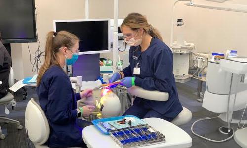Dental hygienist teaching student how to perform cleaning